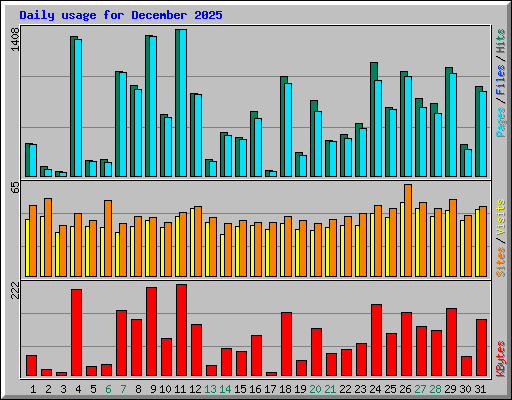 Daily usage for December 2025