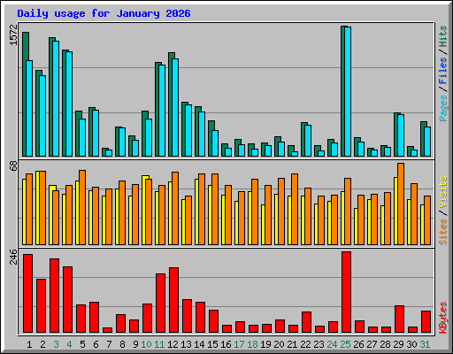 Daily usage for January 2026