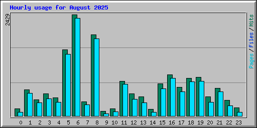 Hourly usage for August 2025