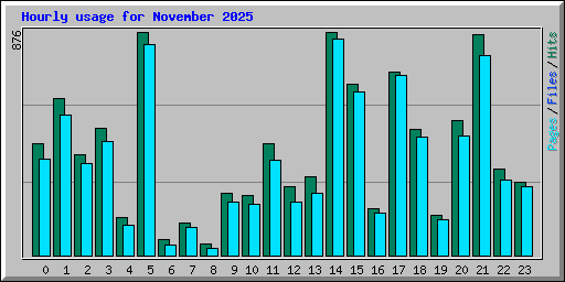 Hourly usage for November 2025