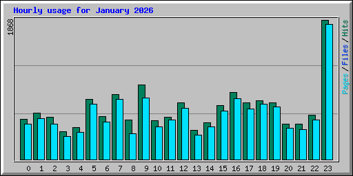 Hourly usage for January 2026